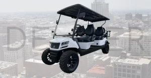 denver colorado lsvs - golf carts in denver
